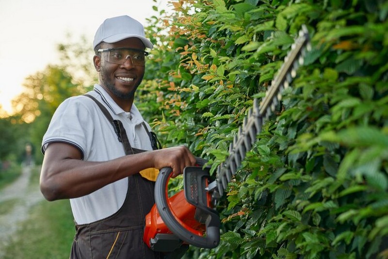 Imagem ilustrativa de Empresa terceirizada de jardinagem